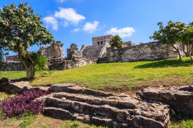 Arkasında yemyeşil bir alan olan taştan bir duvar. Duvar eski ve bir sürü çatlağı var.