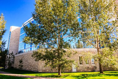 Önünde bir sürü pencere ve büyük bir ağaç olan büyük bir bina. Bina taştan yapılmıştır ve modern bir tasarıma sahiptir. Ağaç uzundur ve çok fazla yaprağı vardır.
