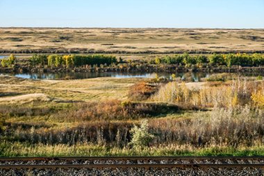 Uzun otlar ve ağaçlarla dolu bir arazide tren rayları var. Tren hareket etmiyor, ama raylar görünüyor. Manzara sakin ve sakin, tren raylarıyla.
