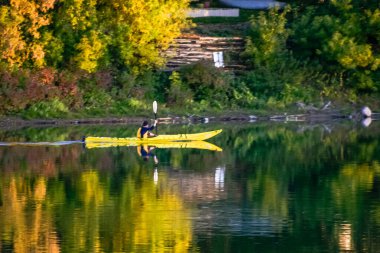 Sarı kanolu bir adam nehirde kürek çekiyor. Su sakin ve arka plandaki ağaçlar sıcak bir ışık saçıyor. Huzurlu ve huzurlu bir sahne.