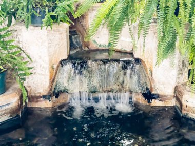 Küçük bir şelale gölete akıyor. Su berrak ve sakin. Gölet bitkiler ve kayalarla çevrili.