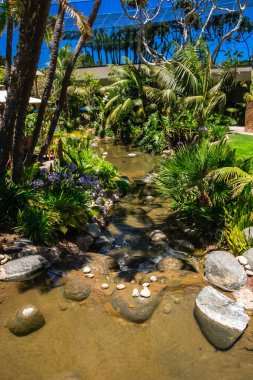 Küçük bir su akıntısı yemyeşil bir ormanda akar. Su kahverengi ve bulanık, ve dereyi kaplayan kayalar etrafa saçılmış. Huzurlu ve huzurlu bir sahne.