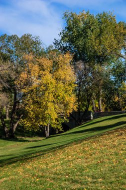 Ağaçları ve köprüsü olan bir park. Ağaçların çoğu yeşildir ama bazılarının sarı yaprakları vardır. Park dinlenmek ve doğanın tadını çıkarmak için huzurlu bir yerdir.