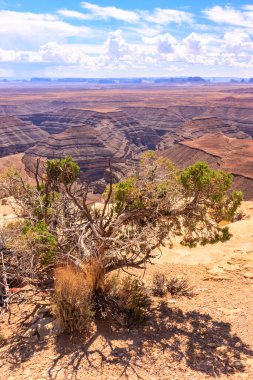 Muley Point is a remote, scenic overlook in southern Utah. Monument Valley is visible in the distance while the San Juan River cuts into the canyon below. clipart