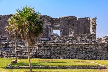 Önünde küçük bir palmiye ağacı olan büyük bir taş bina. Bina eski ve uzun bir geçmişi var.