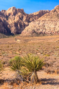 Red rock canyon Ulusal koruma alanı Nevada las vegas ve vitrinler büyük kırmızı kumtaşı zirveleri ve duvarlarının batısında yer hakkında.