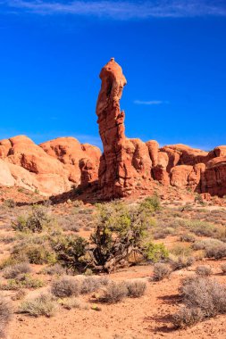 Çölde, kuru ve çorak bir araziyle çevrili büyük bir kaya oluşumu bulunur. Gökyüzü açık ve mavidir, ve güneş parlıyor. Yalnızlık ve yalnızlık kavramı