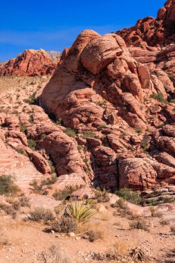 Önünde birkaç ağaç olan kayalık bir dağ. Dağ kırmızı ve gökyüzü mavi.
