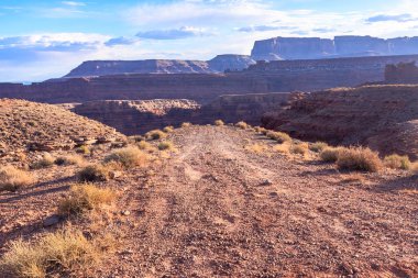 Ortasında toprak yol olan bir çöl manzarası. Yol, seyrek bitki örtüsüyle kuru ve çorak bir araziyle çevrilidir. Gökyüzü açık ve mavidir ve güneş ışıl ışıl parlar.