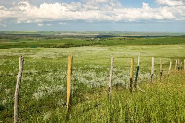 Ortasında çit olan bir çim tarlası. Çit ahşaptan yapılmıştır ve çimlerle çevrilidir. Gökyüzü mavi ve bazı bulutlar var.