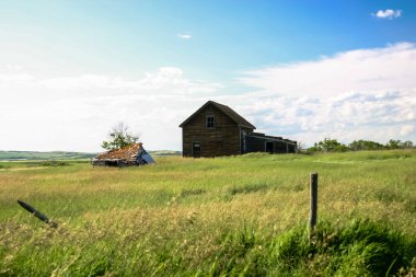 Küçük, eski bir ev uzun otların arasında duruyor. Evin etrafı çitlerle çevrili ve o terk edilmiş. Gökyüzü açık ve güneş parlıyor. Huzurlu ve huzurlu bir atmosfer yaratıyor.