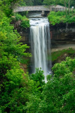 Bir şelale kayalık bir uçurumdan aşağı akıyor. Su berrak ve ağaçlar yemyeşil.