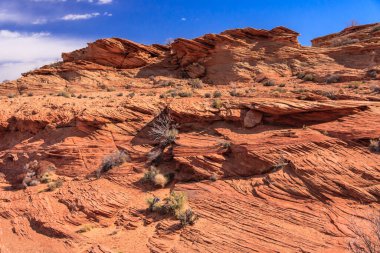Önünde yalnız bir ağaç olan kayalık bir yamaç. Yalnızlık ve izolasyon kavramı, ağaç kayalık arazinin ortasında tek başına dururken