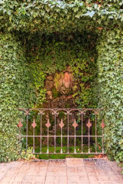 Üzerinde sarmaşık büyüyen demirden bir çit. Çit, taş bir duvar ve küçük bir çeşmeyle çevrilidir. Huzurlu ve huzurlu bir sahne, sarmaşıkla.