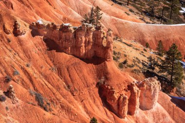Ortasında ağaç olan kayalık bir yamaç. Tepe turuncu ve ağaç yeşil.