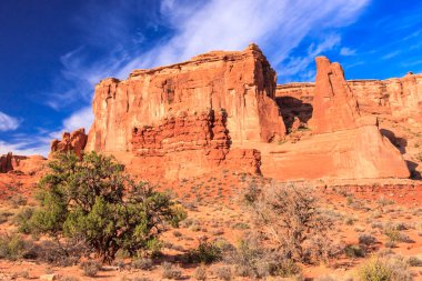 Önünde bir ağaç olan kayalık bir dağ sırası. Gökyüzü mavi ve arka planda bulutlar var. Huzurlu ve huzurlu bir sahne.