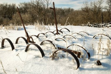 Eski paslı sabanlar etrafa saçılmış karla kaplı bir tarla. Eski sabanlar terk edilmiş ve karla kaplı olduğundan manzara ürkütücü ve ıssız.