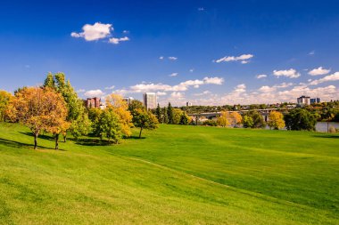 Açık mavi gökyüzü ve birkaç ağacı olan geniş, açık bir alan. Gökyüzü bulutlarla kaplıdır ve ağaçlar sonbaharın çeşitli aşamalarındadır. Huzurlu ve sakin bir sahne, sükunet hissi ile