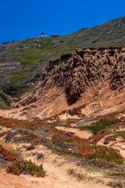 Uzakta deniz feneri olan kayalık bir yamaç. Yamaçta çimenler ve bitkiler var. Gökyüzü açık ve mavi.