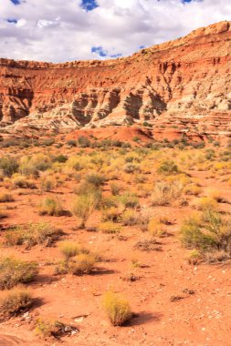 Arkasında kayalık bir uçurum olan bir çöl manzarası. Gökyüzü bulutlu ve güneş parlıyor