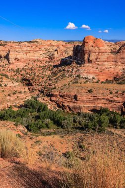 Birkaç ağacın etrafa saçıldığı kayalık, çorak bir arazi. Gökyüzü açık ve mavidir ve güneş ışıl ışıl parlar.