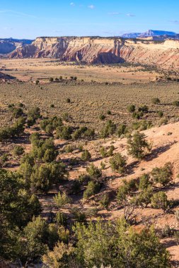 Arkasında dağ olan bir çöl manzarası. Ağaçlar seyrek ve toprak kuru.