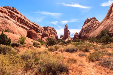 Birkaç ağaç ve büyük bir kaya oluşumuyla bir çöl manzarası. Gökyüzü açık ve güneş parlıyor.