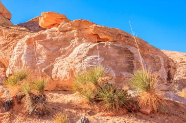 Ateş Vadisi adını dinazorlar çağı boyunca kayan kum tepelerinden oluşan kırmızı kumtaşı oluşumlarından alır. Bölgenin karmaşıklığı ve hataları, ardından geniş çaplı erozyon, mevcut manzarayı oluşturdu.