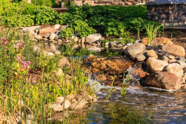 Küçük bir su akıntısı, kayalar ve bitkilerle dolu bir bahçeden akar. Su berrak ve sakindir ve etrafındaki bitkiler yemyeşil ve yemyeşildir. Huzurlu ve huzurlu bir sahne.