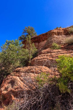 Üzerinde ağaç büyüyen kayalık bir yamaç. Ağaç küçük ve yeşildir. Tepe kayalık ve çorak, bitki örtüsü yok. Gökyüzü açık ve mavi