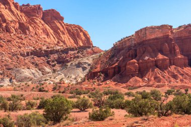 Arkasında kayalık bir dağ olan bir çöl manzarası. Gökyüzü açık ve mavi. Huzurlu ve huzurlu bir sahne.