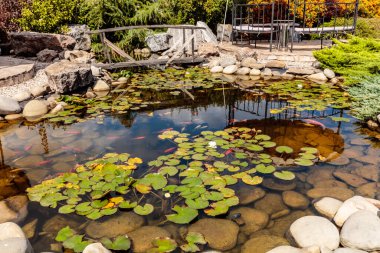 Köprüsü ve birkaç taşı olan bir gölet. Su sakin ve berrak. Yüzeyde süzülen zambaklar var.