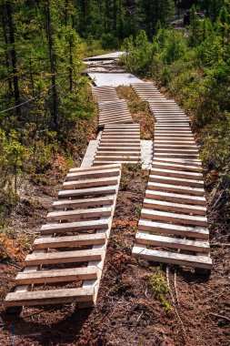 Kırık bölmeli ahşap bir köprü. Köprü bir ormanda.