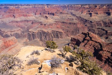 Önünde ağaç olan Büyük Kanyon manzarası. Kanyonun doğal güzelliğine hayranlık ve hayret kavramı