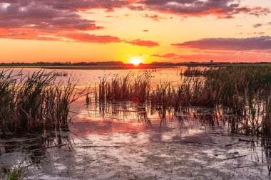 Güneş ayarı ötesinde bir bataklık ya da su birikintisi.
