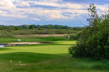 Yeşil çimenli bir tarlası ve göleti olan bir golf sahası. Gölet ağaçlar ve çalılarla çevrili.