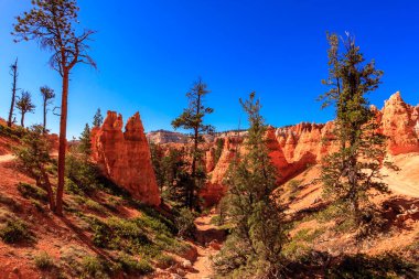Bryce Canyon Ulusal Parkı, Birleşik Devletler 'in Utah' ın güneybatısında yer almaktadır ve 