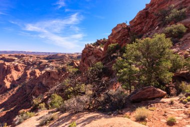 Önünde ağaç olan kayalık bir dağ. Ağaç çıplak ve gökyüzü mavi.