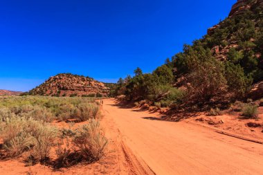 Arka planda mavi gökyüzü olan çölde toprak bir yol. Yol ağaçlarla çevrili ve gökyüzü açık.