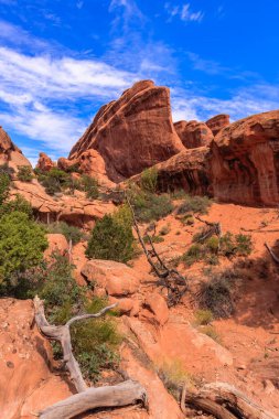 Birkaç ağacı ve açık mavi gökyüzü olan kayalık bir dağ sırası. Dağlar kırmızı kayalarla kaplı ve ağaçlar seyrek. Gökyüzü berrak ve parlak. Huzurlu ve huzurlu bir atmosfer yaratıyor.