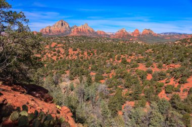 Arka planda bir dağ sırası ve ön planda bir orman olan güzel bir manzara. Gökyüzü açık ve mavidir, ve güneş parlıyor. Huzurlu ve huzurlu bir sahne.
