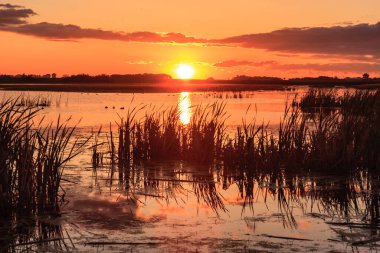 Güneş ayarı ötesinde bir bataklık ya da su birikintisi.