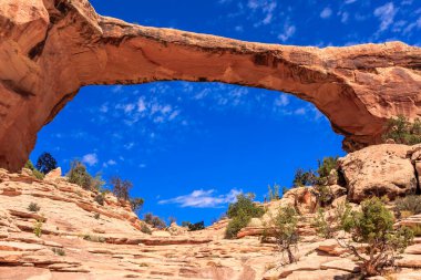 Natural Bridges National Monument, Utah 'ta bulunan ABD Ulusal Anıtı. Owachomo buradaki üç doğal köprünün en küçüğü ve en zayıfıdır ve yaygın olarak en yaşlı olduğu düşünülür..