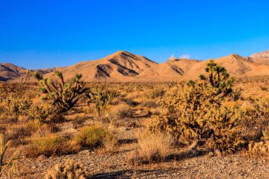 Mavi gökyüzü ve arka planda dağlar olan bir çöl manzarası. Gökyüzü açık ve güneş parlıyor.