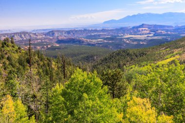 Önünde orman olan bir dağ sırası. Ağaçlar yeşil ve gökyüzü mavi.
