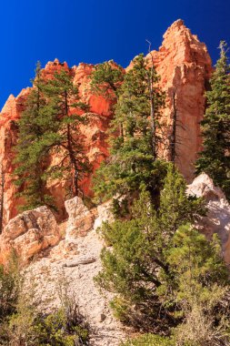 Bryce Canyon Ulusal Parkı, Birleşik Devletler 'in Utah' ın güneybatısında yer almaktadır ve 