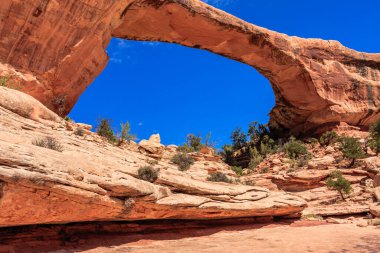 Natural Bridges National Monument is a U.S. National Monument located in Utah.  Owachomo is the smallest and thinnest of the three natural bridges here and is commonly thought to be the oldest. clipart