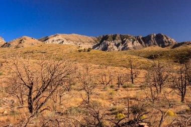 Arkasında birkaç ağaç ve dağ olan ıssız bir manzara. Gökyüzü açık ve mavi
