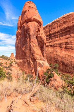 Üzerinde bir ağaç büyüyen uzun, kayalık bir yapı. Kaya oluşumu bir çölde gerçekleşiyor ve ağaç kayanın kenarında büyüyor. Sahne huzurlu ve huzurlu.
