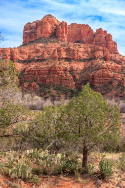 Önünde ağaç olan bir dağ. Dağ kırmızıdır ve ağaç yeşildir. Gökyüzü mavi ve güneş parlıyor.